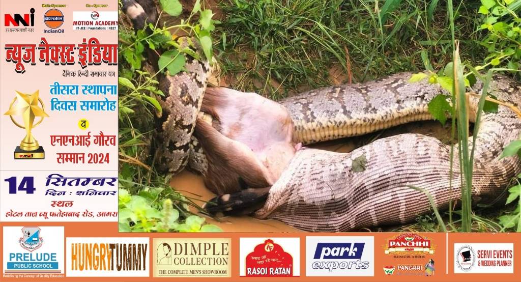 Agra News: जंगल में गाय को जिंदा निगल गया 16 फीट लंबा अजगर